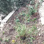 Maison De Charme à Avec Jardin Et Vue Montagne * Vachères