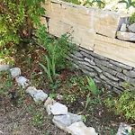 Maison De Charme A Avec Jardin Et Vue Montagne * Vachères