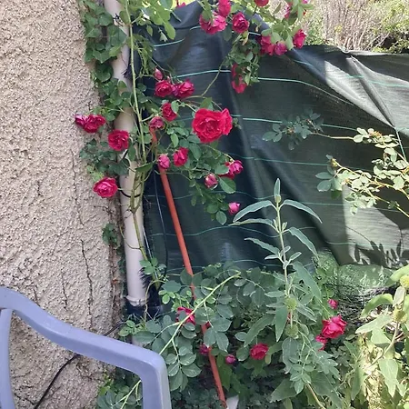 Maison De Charme A Avec Jardin Et Vue Montagne * Vachères