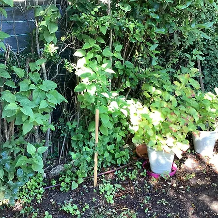 Casa de Férias Maison De Charme à Avec Jardin Et Vue Montagne Vachères