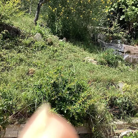Maison De Charme à Avec Jardin Et Vue Montagne Casa de Férias Vachères