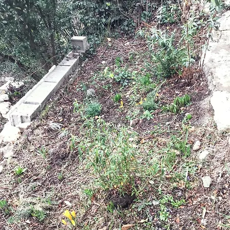 Maison De Charme A Avec Jardin Et Vue Montagne * Vachères