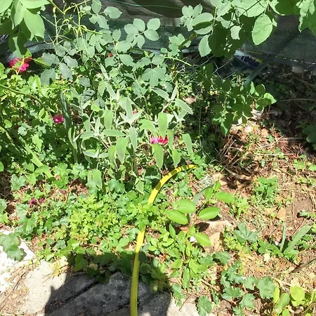 Casa de Férias Maison De Charme à Avec Jardin Et Vue Montagne Vachères
