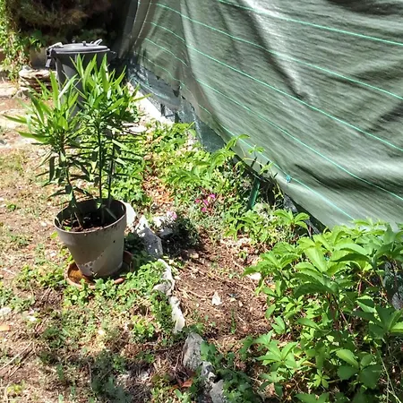 Maison De Charme à Avec Jardin Et Vue Montagne Vachères