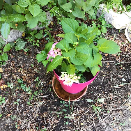 Casa de Férias Maison De Charme à Avec Jardin Et Vue Montagne Vachères