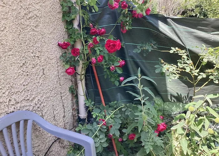 Maison De Charme A Avec Jardin Et Vue Montagne * Vacheres