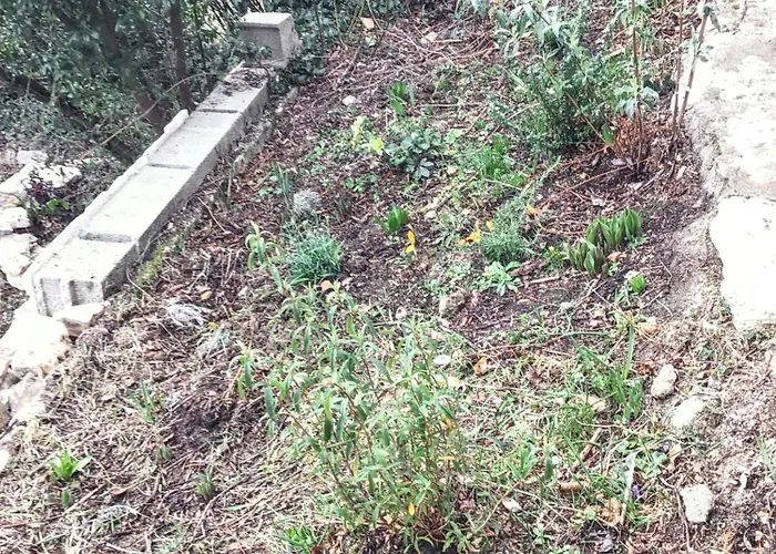 Maison De Charme A Avec Jardin Et Vue Montagne * Vacheres