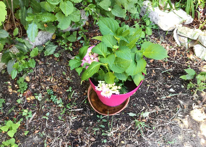 Holiday home Maison De Charme A Avec Jardin Et Vue Montagne Vacheres